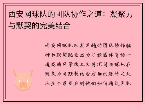 西安网球队的团队协作之道：凝聚力与默契的完美结合